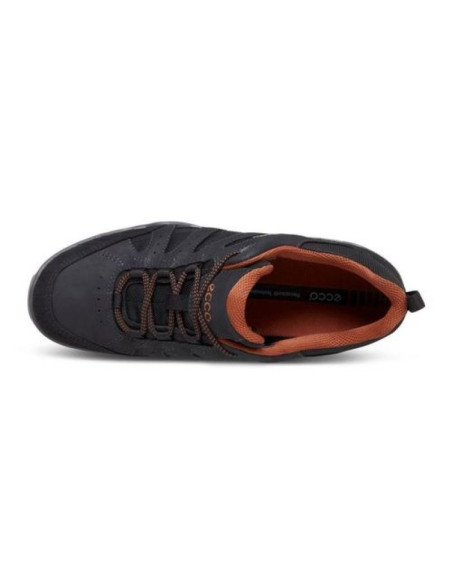 Zapatillas Ecco Sierra GTX SR negro