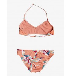 Bikini Roxy Top Triangulo 2