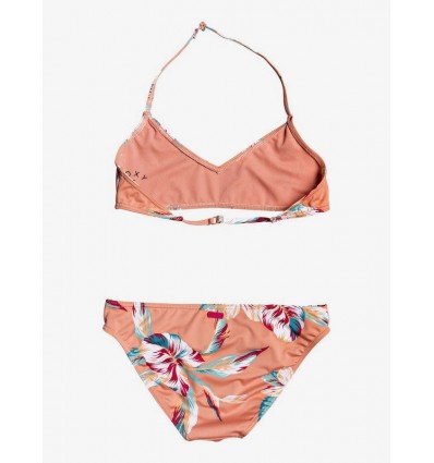 Bikini Roxy Top Triangulo