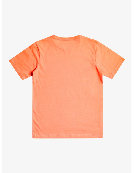 CAMISETA QUIKSILVER NARANJA NIÑO