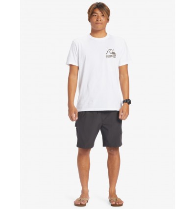 BOARDSHORT AFIBIO QUIKSILVER HOMBRE