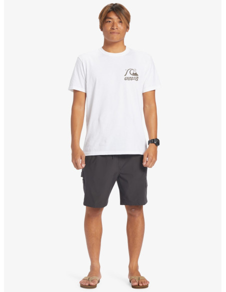 BOARDSHORT AFIBIO QUIKSILVER HOMBRE