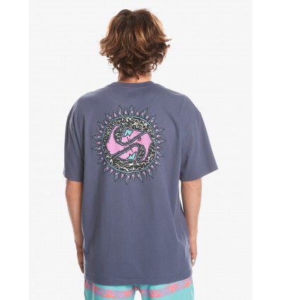 CAMISETA QUIKSILVER M.C SPIN CYCLE MORADO