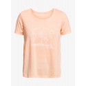 CAMISETA ROXY M.C CHASING THE WAVE NARANJA