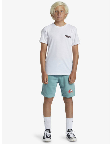 BERMUDA EASY DAY ALGODÓN QUIKSILVER LOGO TURQUESA