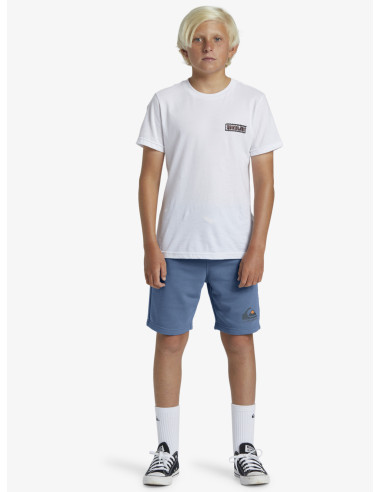 BERMUDA EASY DAY ALGODÓN QUIKSILVER LOGO AZUL