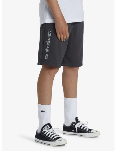 BERMUDA TAKE US BACK ALGODÓN QUIKSILVER LOGO NGR