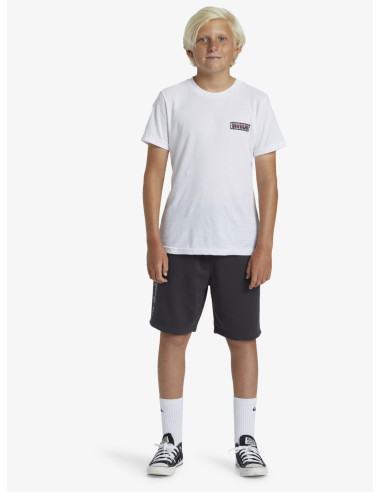 BERMUDA TAKE US BACK ALGODÓN QUIKSILVER LOGO NGR