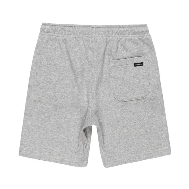 BERMUDA ALGODON NIÑO QUICKSILVER COLOR GRIS