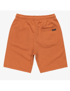 BERMUDA ALGODON NIÑO QUICKSILVER COLOR MARRON 2