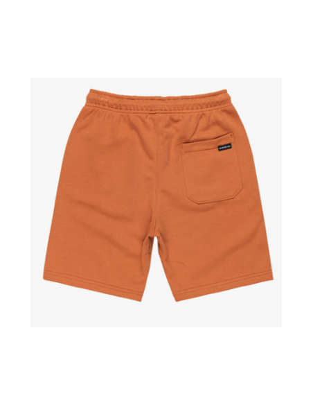 BERMUDA ALGODON NIÑO QUICKSILVER COLOR MARRON