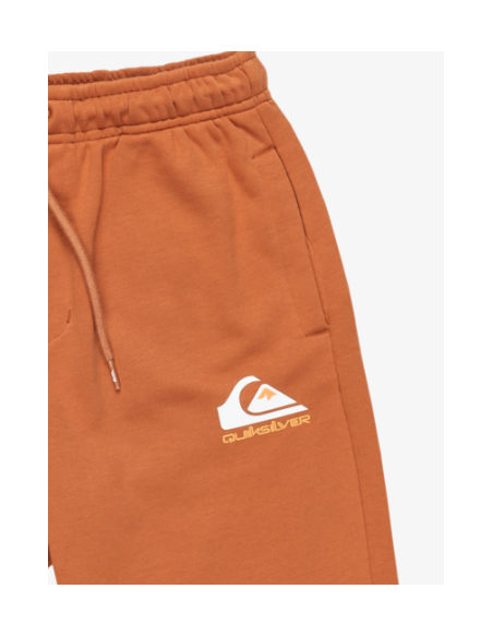 BERMUDA ALGODON NIÑO QUICKSILVER COLOR MARRON
