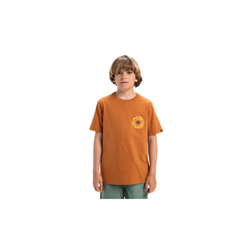 CAMISETA NIÑO LOGO QUICKSILVER COLOR MARRON