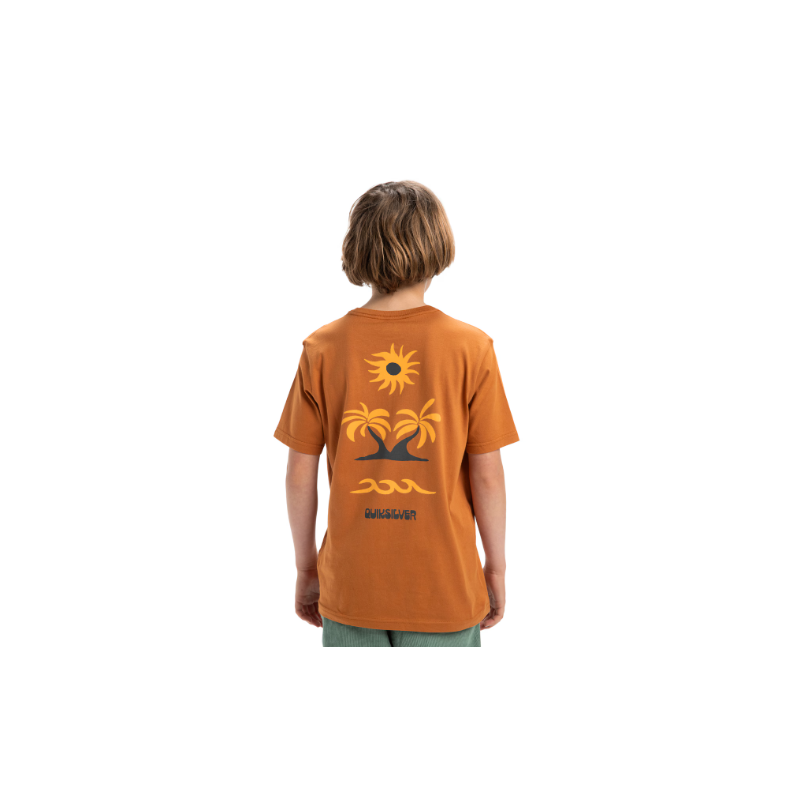 CAMISETA NIÑO LOGO QUICKSILVER COLOR MARRON