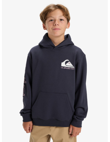 SUDADERA NIÑO QUIKSILVER CAPUCHA LOGO PECHO Y MANGA