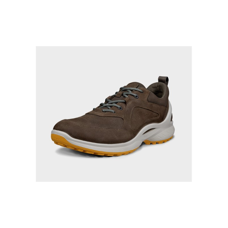 ZAPATO GTX MARRON ECCO BIOM