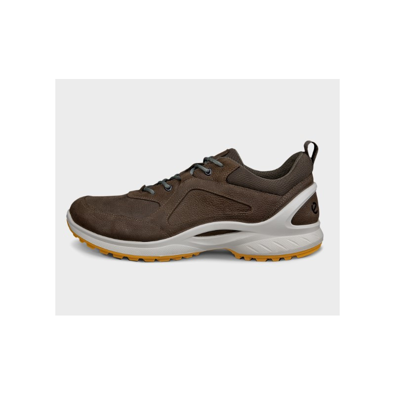 ZAPATO GTX MARRON ECCO BIOM