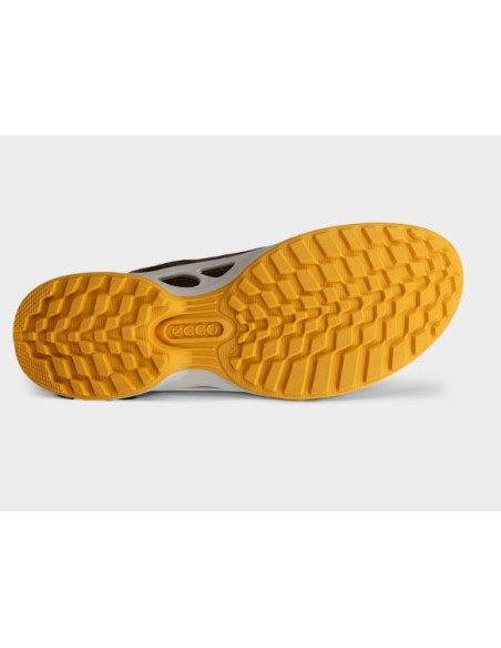 ZAPATO GTX MARRON ECCO BIOM