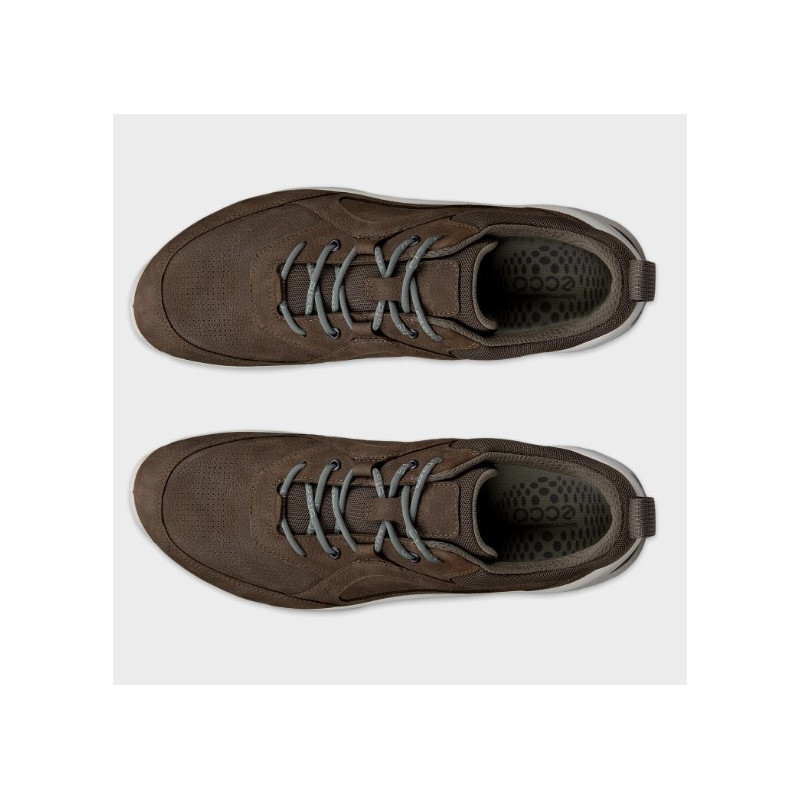 ZAPATO GTX MARRON ECCO BIOM