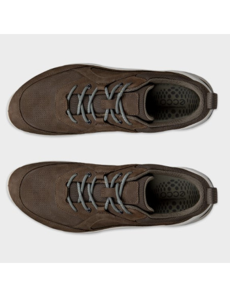 ZAPATO GTX MARRON ECCO BIOM