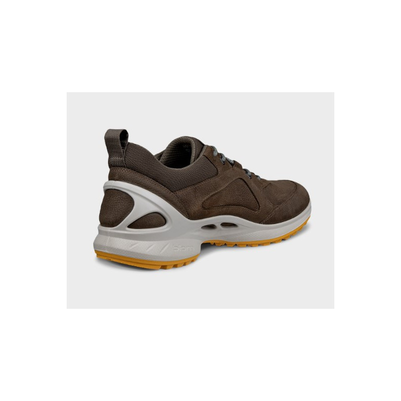 ZAPATO GTX MARRON ECCO BIOM