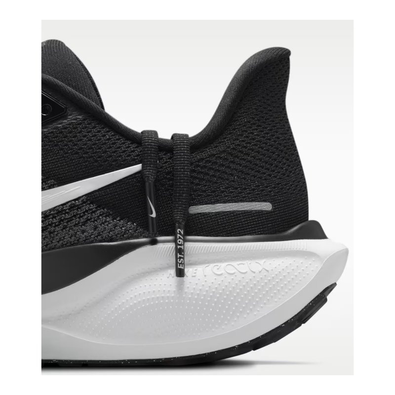 ZAP.RUN Sr ZOOMPEGASUS41 NGR