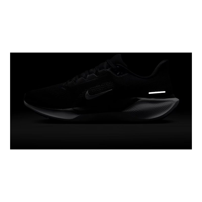 ZAP.RUN Sr ZOOMPEGASUS41 NGR