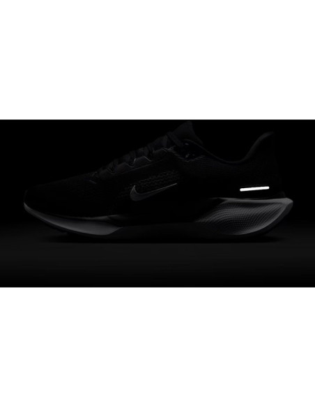 ZAP.RUN Sr ZOOMPEGASUS41 NGR