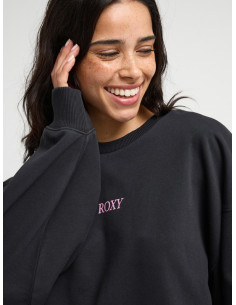 SUDADERA BASIC C/CAJA´26 2