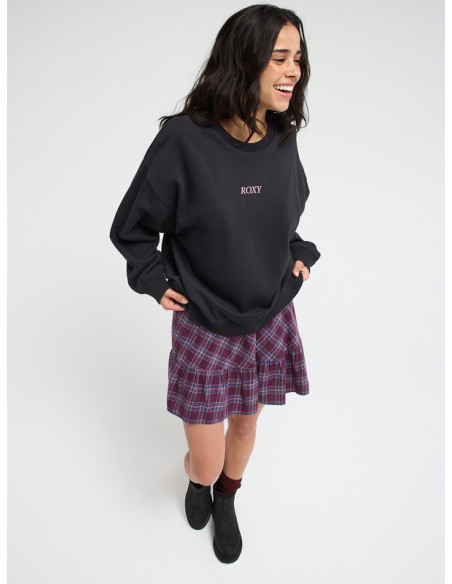 SUDADERA BASIC C/CAJA´26