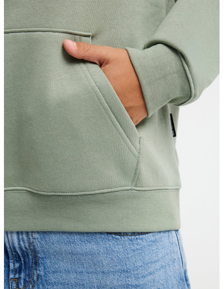GRAPHIC HOODIE (KVJW) SUDADE TXANO NÑO´26