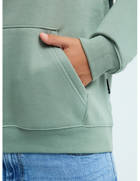 GRAPHIC HOODIE (KVJW) SUDADE TXANO NÑO´26