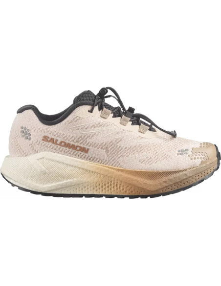 ZAPATILLA RUNNING SALOMON AERO BLAZE 4 GRVL